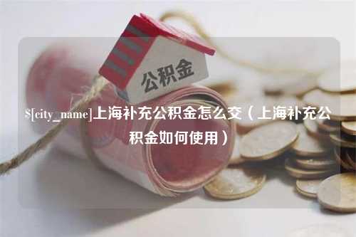 临猗上海补充公积金怎么交（上海补充公积金如何使用）